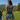 Woman on a golf course, back view of the Green Wave Zinnia Golf Sleeveless Top by Hadley Pollet in navy wave print