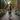 Woman walking down an ivy-covered garden alley carrying the Walnut Peek-A-Boo Clutch by Hadley Pollet